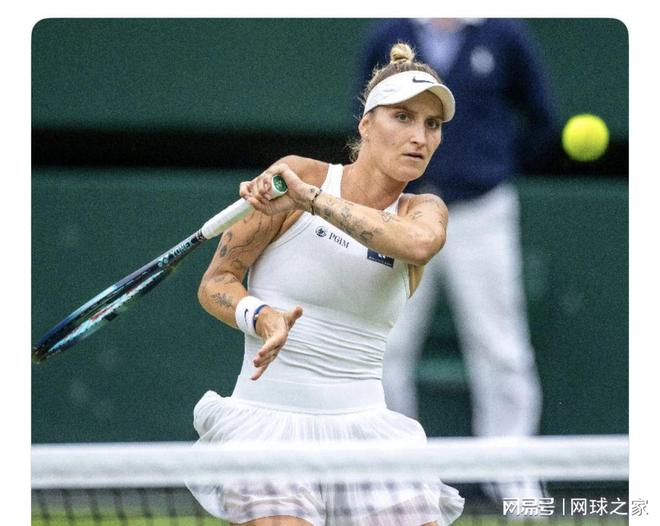 桃田贤斗与 桃田贤斗与